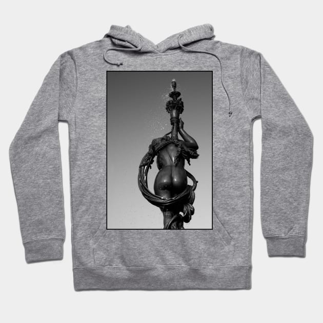 The Ross Fountain Hoodie by Photo IMAGINED